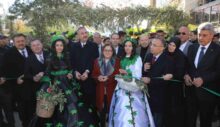 Gaziantep Zeytin Festivali başladı…